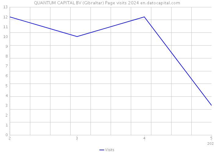 QUANTUM CAPITAL BV (Gibraltar) Page visits 2024 