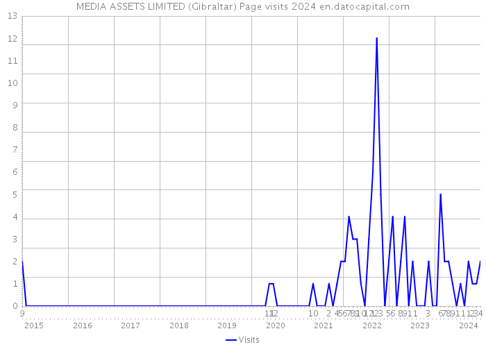 MEDIA ASSETS LIMITED (Gibraltar) Page visits 2024 