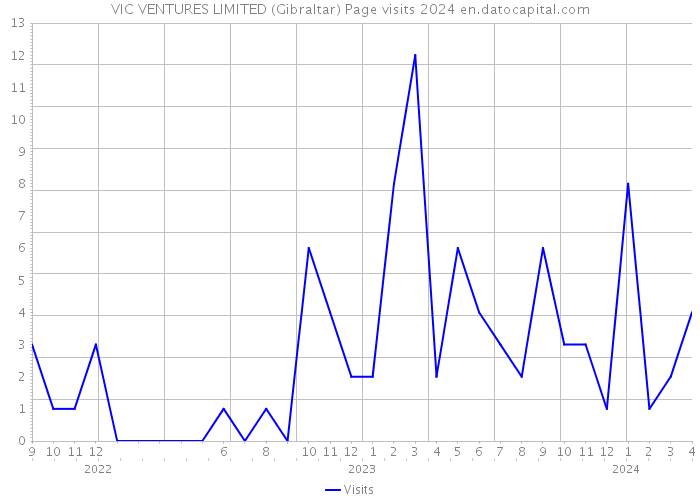 VIC VENTURES LIMITED (Gibraltar) Page visits 2024 