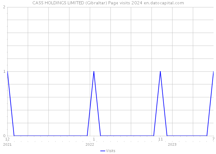 CASS HOLDINGS LIMITED (Gibraltar) Page visits 2024 