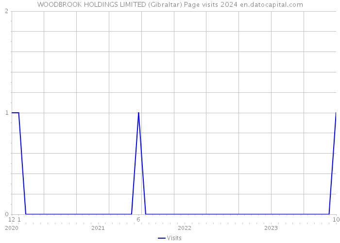 WOODBROOK HOLDINGS LIMITED (Gibraltar) Page visits 2024 