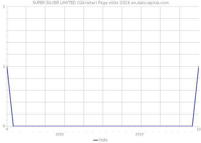 SUPER SILVER LIMITED (Gibraltar) Page visits 2024 
