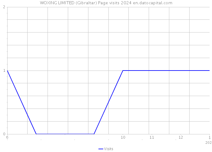 WOXING LIMITED (Gibraltar) Page visits 2024 