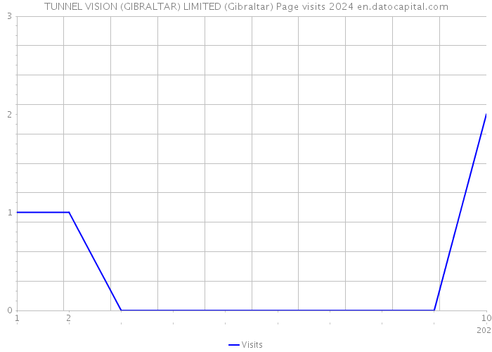 TUNNEL VISION (GIBRALTAR) LIMITED (Gibraltar) Page visits 2024 