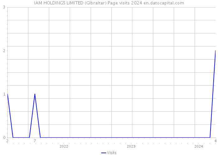 IAM HOLDINGS LIMITED (Gibraltar) Page visits 2024 