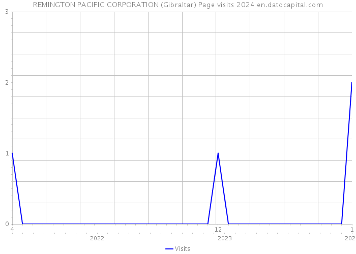 REMINGTON PACIFIC CORPORATION (Gibraltar) Page visits 2024 