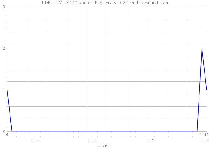TIDBIT LIMITED (Gibraltar) Page visits 2024 