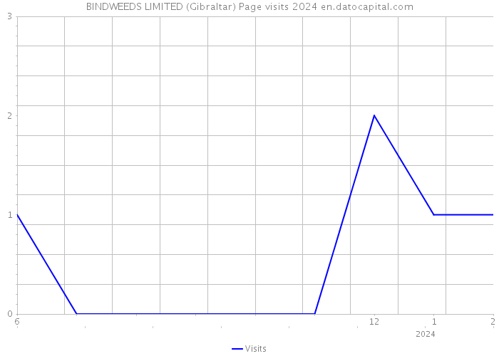 BINDWEEDS LIMITED (Gibraltar) Page visits 2024 