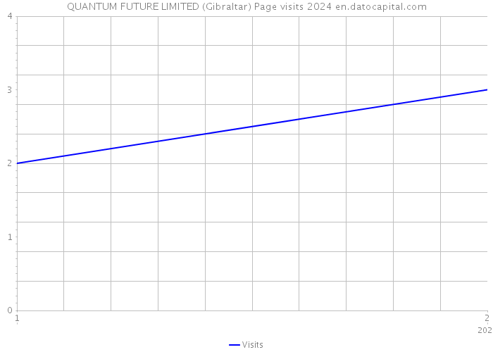 QUANTUM FUTURE LIMITED (Gibraltar) Page visits 2024 