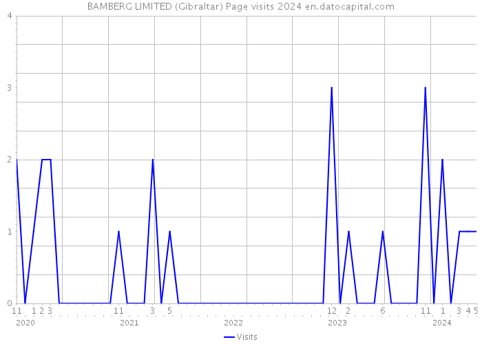 BAMBERG LIMITED (Gibraltar) Page visits 2024 