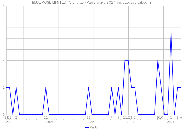 BLUE ROSE LIMITED (Gibraltar) Page visits 2024 