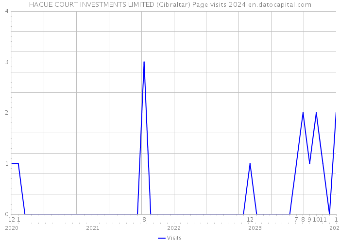 HAGUE COURT INVESTMENTS LIMITED (Gibraltar) Page visits 2024 