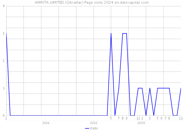 AMRITA LIMITED (Gibraltar) Page visits 2024 