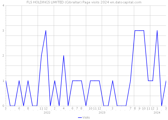 FLS HOLDINGS LIMITED (Gibraltar) Page visits 2024 
