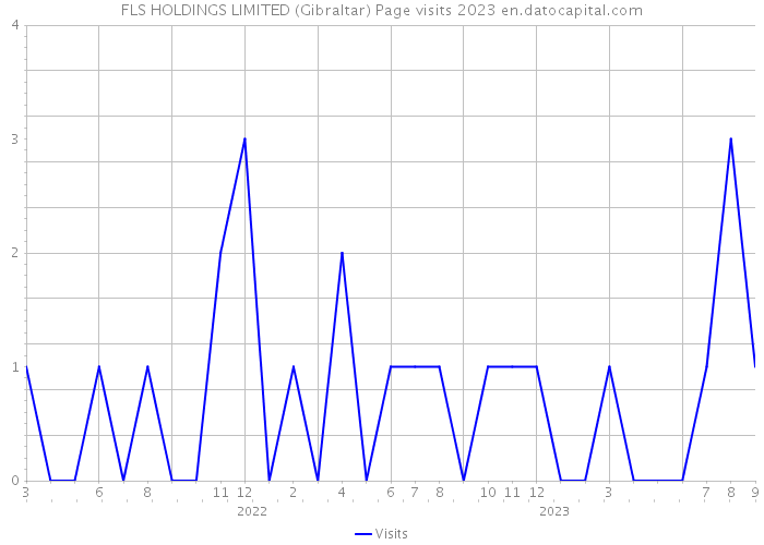 FLS HOLDINGS LIMITED (Gibraltar) Page visits 2023 