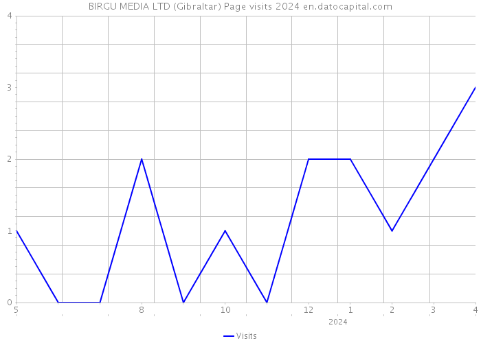 BIRGU MEDIA LTD (Gibraltar) Page visits 2024 