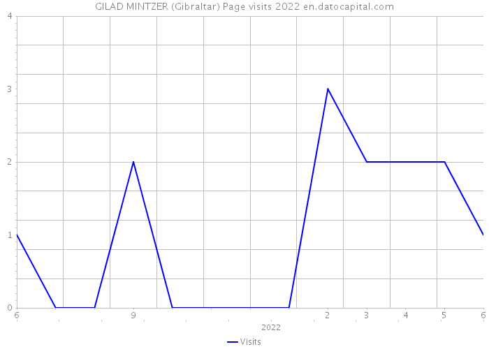 GILAD MINTZER (Gibraltar) Page visits 2022 