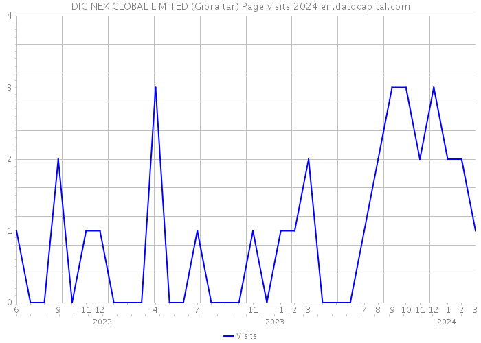 DIGINEX GLOBAL LIMITED (Gibraltar) Page visits 2024 