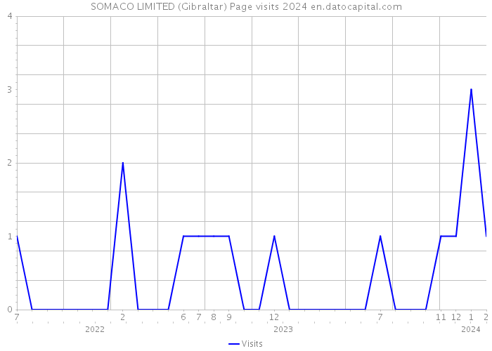 SOMACO LIMITED (Gibraltar) Page visits 2024 
