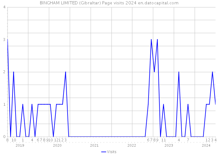 BINGHAM LIMITED (Gibraltar) Page visits 2024 