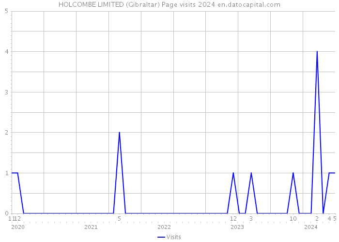 HOLCOMBE LIMITED (Gibraltar) Page visits 2024 