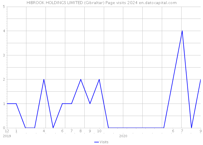 HIBROOK HOLDINGS LIMITED (Gibraltar) Page visits 2024 