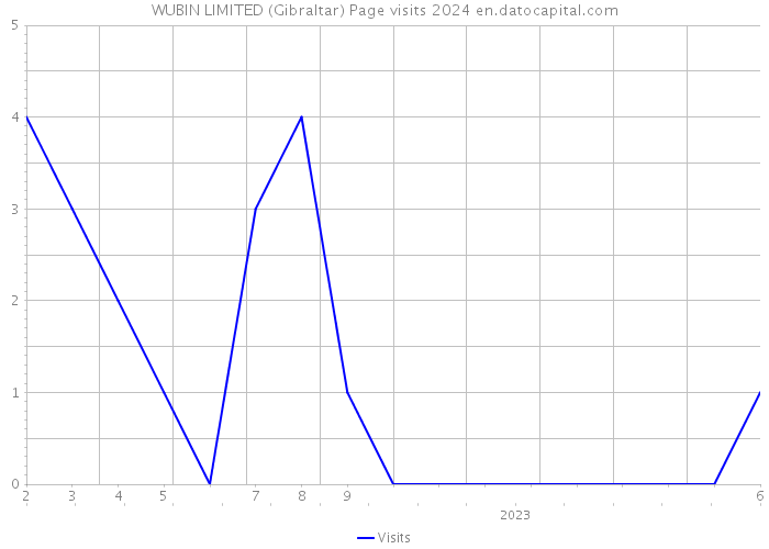 WUBIN LIMITED (Gibraltar) Page visits 2024 