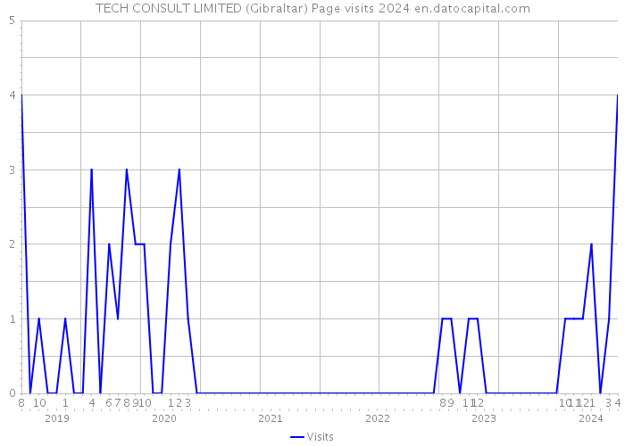 TECH CONSULT LIMITED (Gibraltar) Page visits 2024 