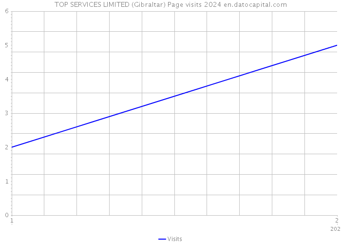 TOP SERVICES LIMITED (Gibraltar) Page visits 2024 
