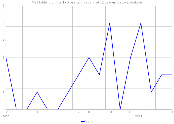 TVS Holding Limited (Gibraltar) Page visits 2024 