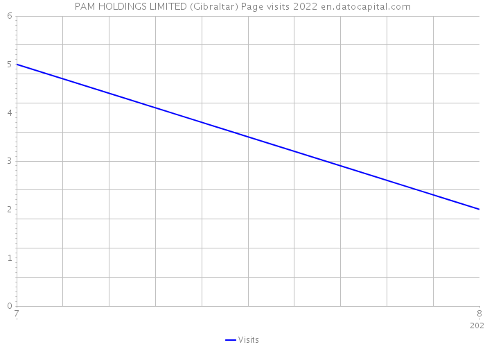 PAM HOLDINGS LIMITED (Gibraltar) Page visits 2022 