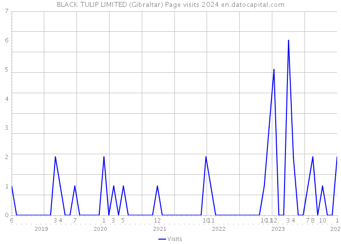 BLACK TULIP LIMITED (Gibraltar) Page visits 2024 