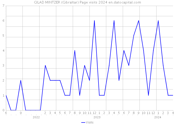 GILAD MINTZER (Gibraltar) Page visits 2024 