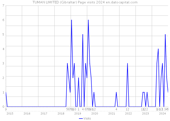 TUMAN LIMITED (Gibraltar) Page visits 2024 