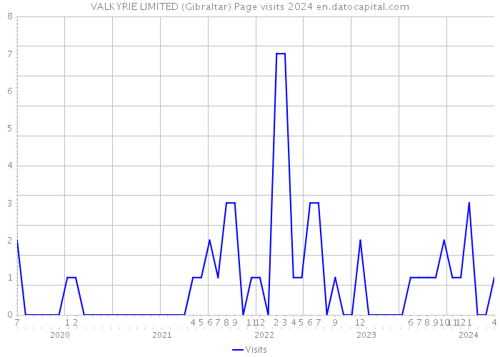 VALKYRIE LIMITED (Gibraltar) Page visits 2024 