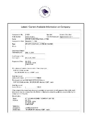 Registry profile and capital (page 4)